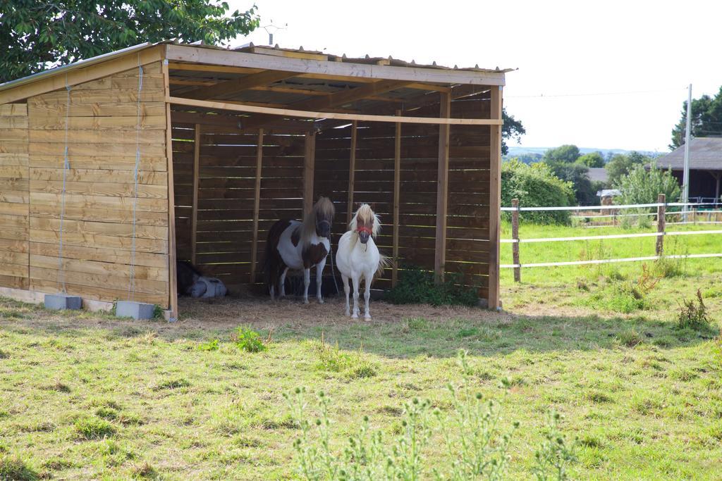 Ferienwohnung La Petite Chesnee Sacey Exterior foto