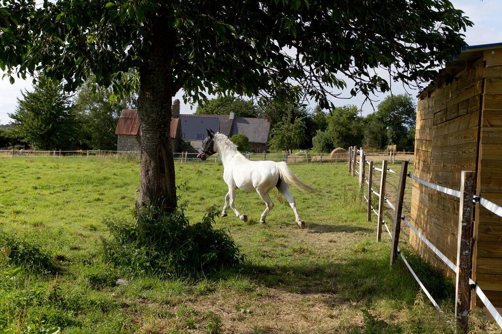 Ferienwohnung La Petite Chesnee Sacey Exterior foto