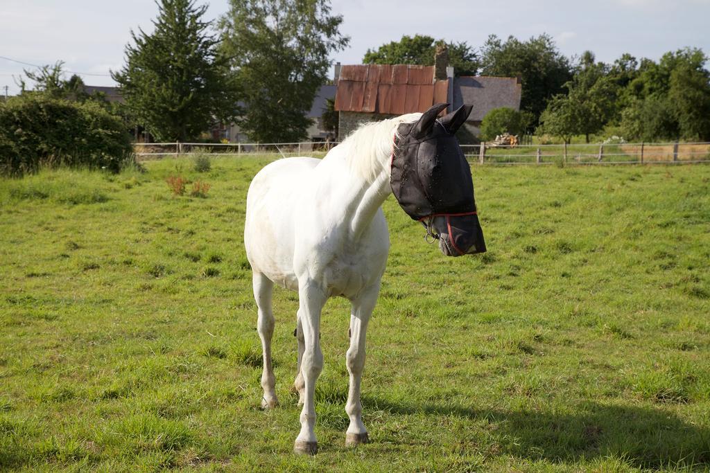 Ferienwohnung La Petite Chesnee Sacey Exterior foto
