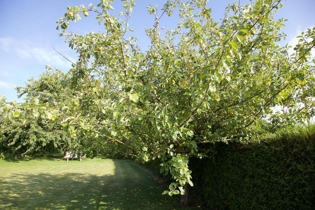 Ferienwohnung La Petite Chesnee Sacey Exterior foto